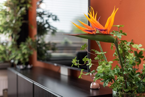 Medium property photo - Cassandraplein 5-01, 5631 BA Eindhoven